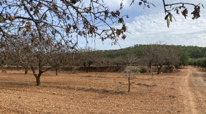 Tarragona - Tarragona - 50000m2