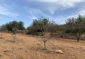 Finca rústica en venta en Tarragona ref: TR351376 foto