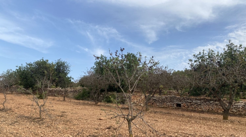 Tarragona - Tarragona - 50000m2