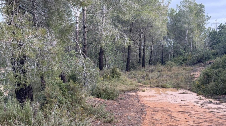 Tarragona - Vallmoll - 125000m2