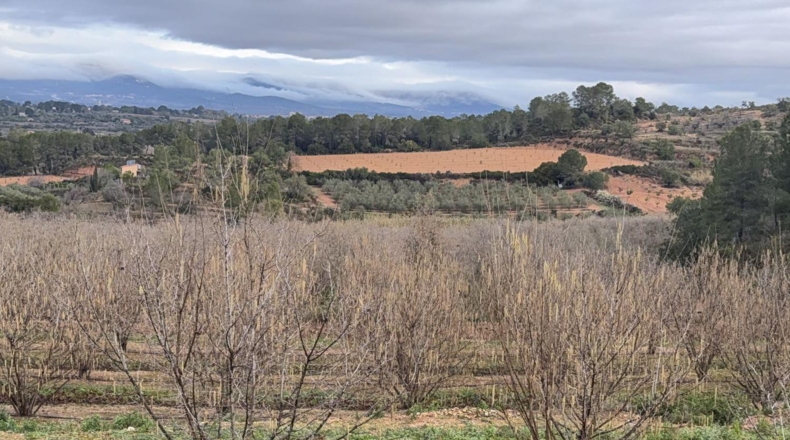 Tarragona - Vallmoll - 125000m2