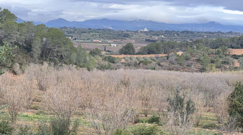 Tarragona - Vallmoll - 125000m2