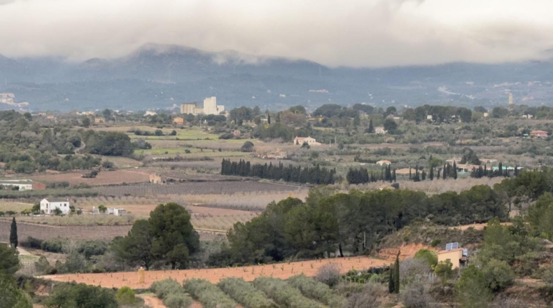 Tarragona - Vallmoll - 125000m2