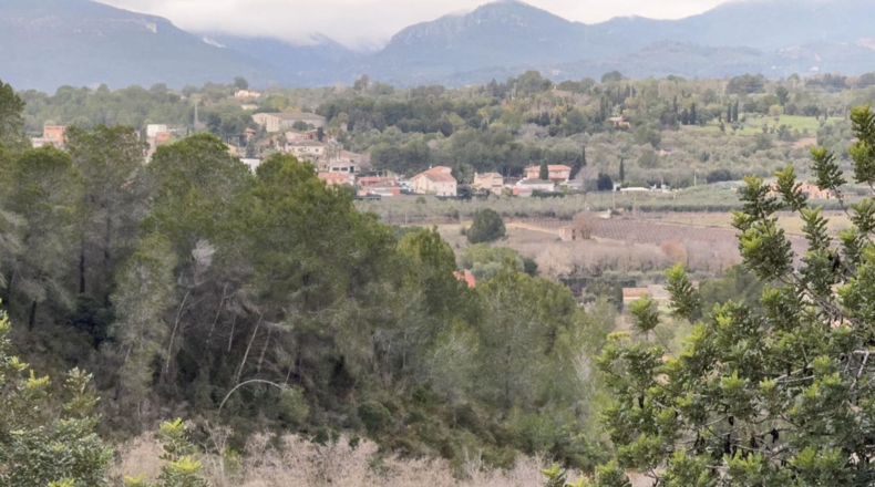 Tarragona - Vallmoll - 125000m2