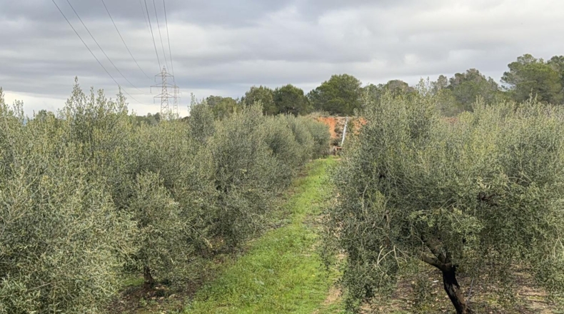 Tarragona - Vallmoll - 125000m2