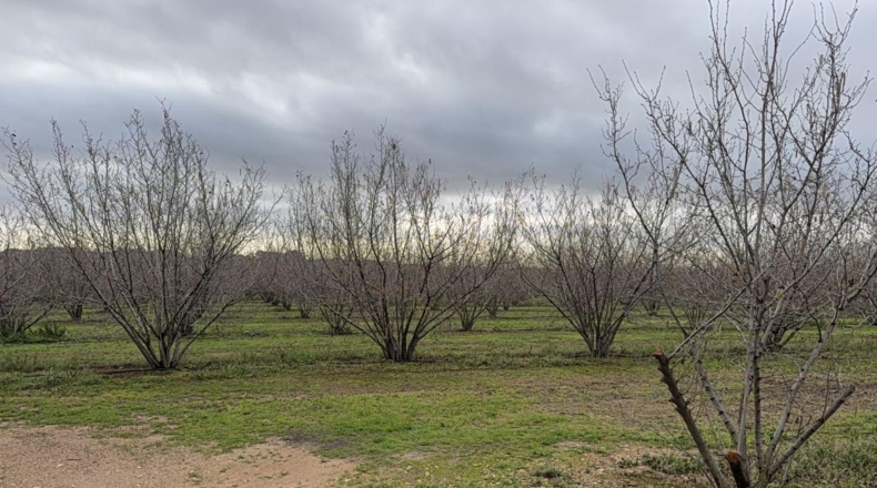 Tarragona - Vallmoll - 125000m2