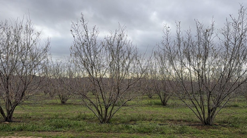Tarragona - Vallmoll - 125000m2