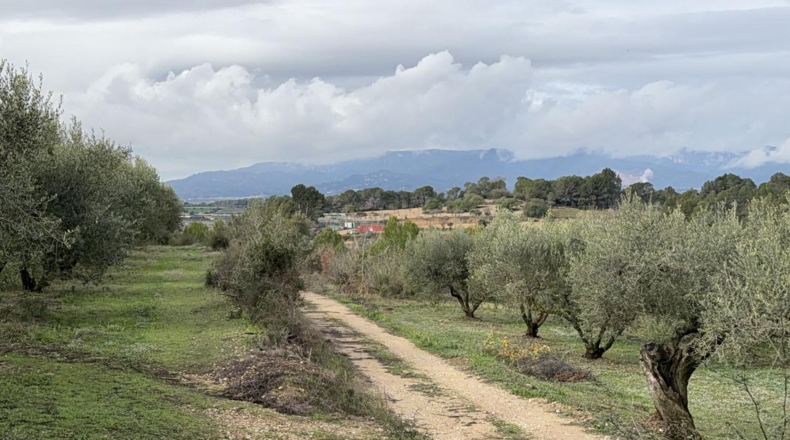 Tarragona - Vallmoll - 20000m2