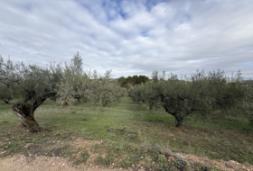 Foto 16