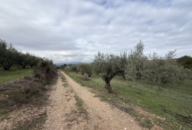 Foto 17