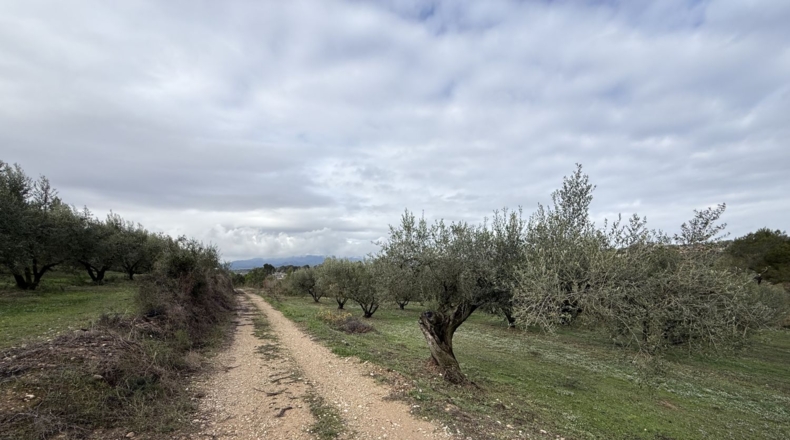 Tarragona - Vallmoll - 20000m2