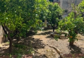 Дом с участком на продажу в городе la Ràpita. Фото