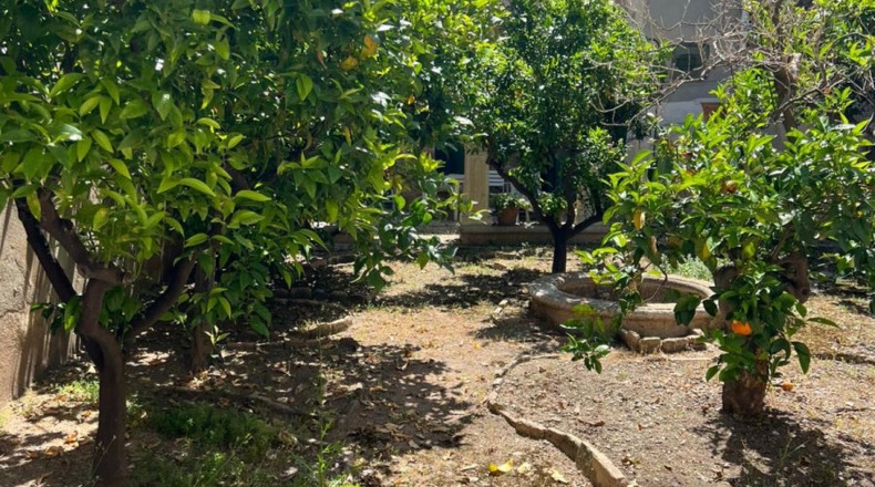 Tarragona - Sant Carles de la Ràpita - 250m2