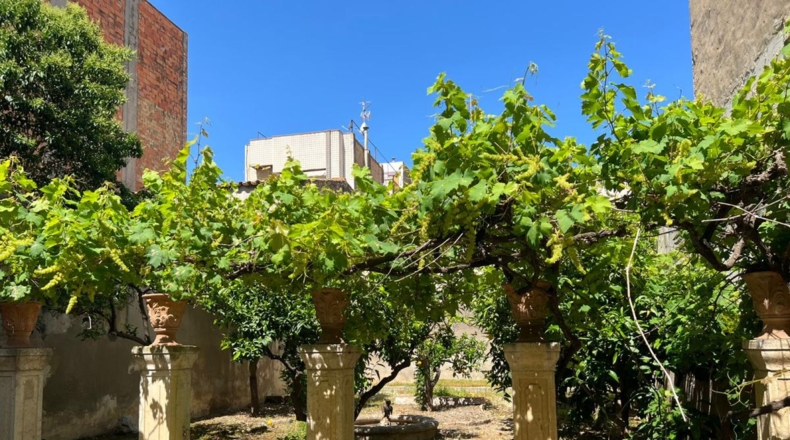 Tarragona - Sant Carles de la Ràpita - 250m2
