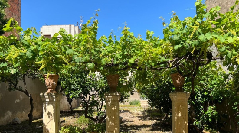 Tarragona - Sant Carles de la Ràpita - 250m2