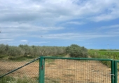 Земельный участок на продажу в городе Amposta. Фото
