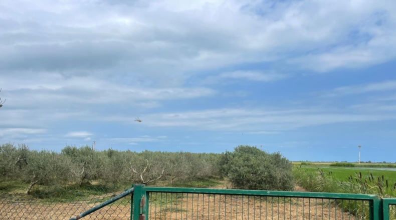 Tarragona - Amposta - 5802m2