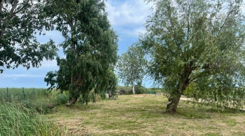 Tarragona - Amposta - 5802m2