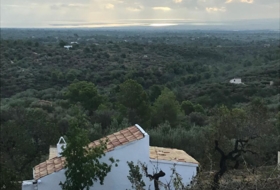 Tortosa 2000&nbsp;м²