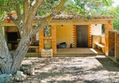 Rural estate for sale on España, Falset, ref: TR74797 photo