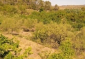 Rural estate for sale on España, Falset, ref: TR74797 photo