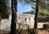 Земельный участок на продажу в городе Vilanova d'Escornalbou Фото