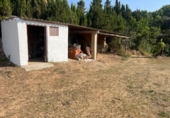 Земельный участок на продажу в городе Vilanova d'Escornalbou Фото
