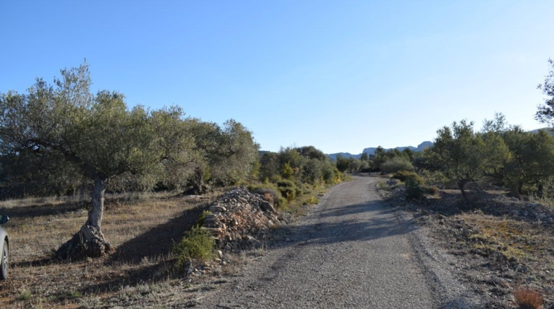 Tarragona - Tortosa - 7921m2