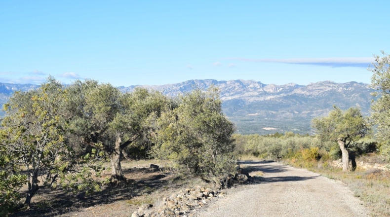 Tarragona - Tortosa - 7921m2