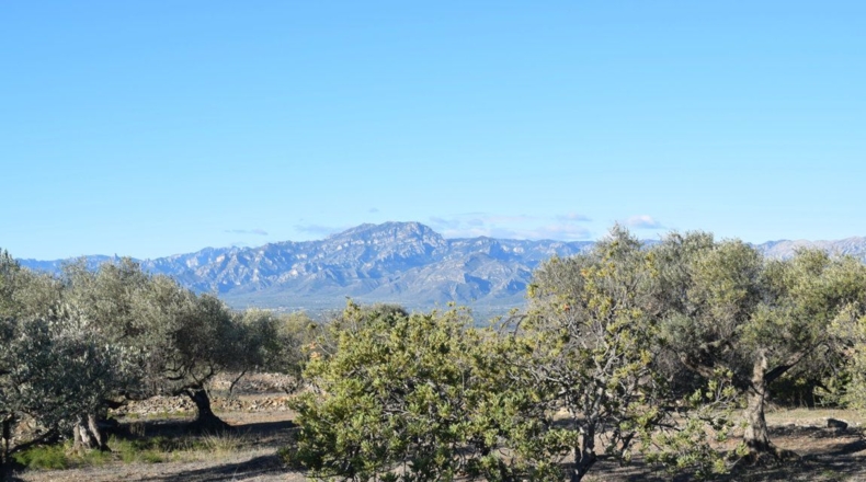 Tarragona - Tortosa - 7921m2