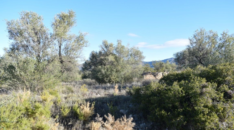 Tarragona - Tortosa - 7921m2