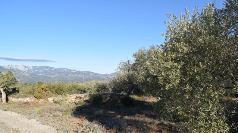 Tarragona - Tortosa - 7921m2