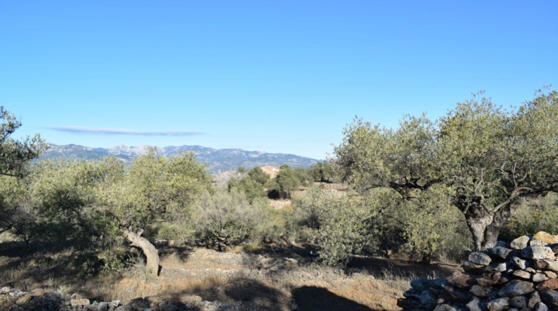 Tarragona - Tortosa - 7921m2