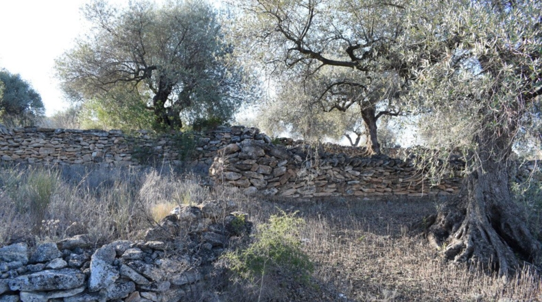 Tarragona - Tortosa - 7921m2