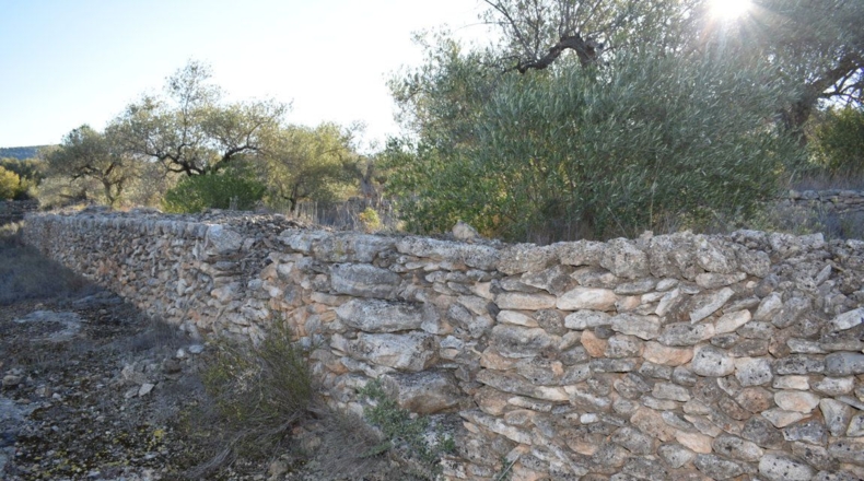 Tarragona - Tortosa - 7921m2