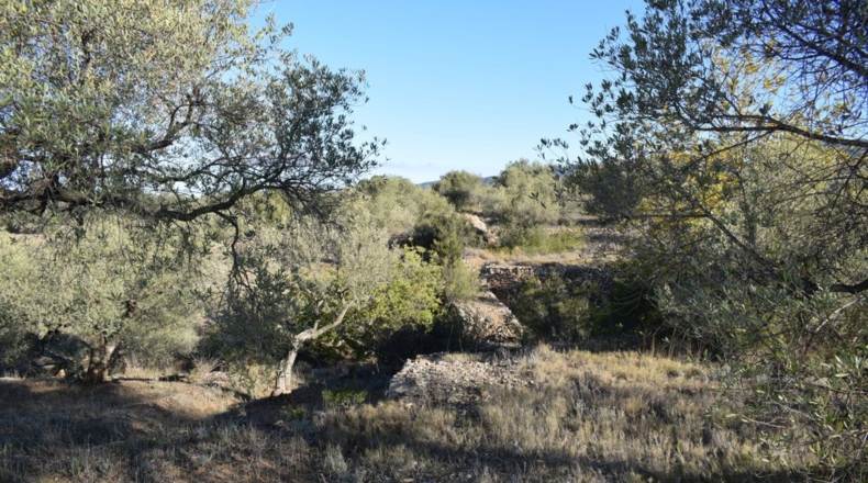 Tarragona - Tortosa - 7921m2
