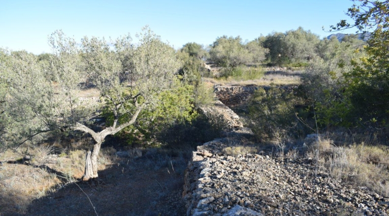 Tarragona - Tortosa - 7921m2