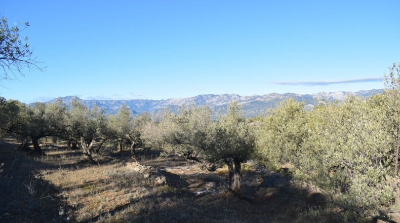 Tarragona - Tortosa - 7921m2