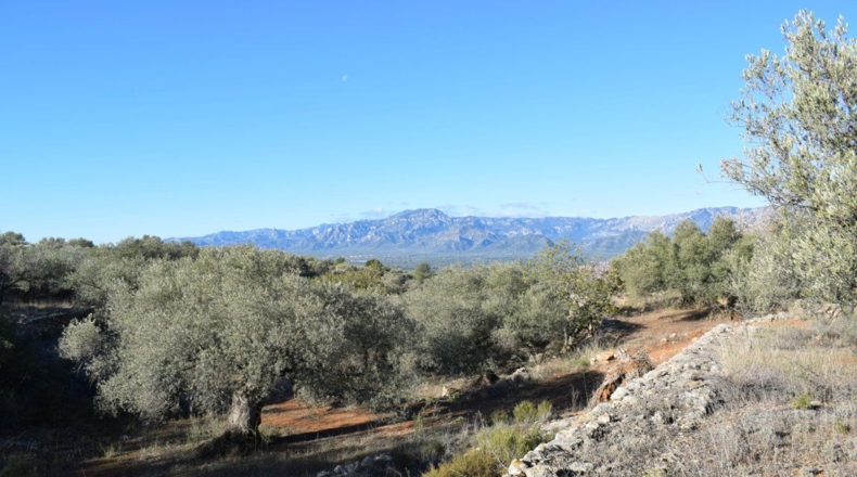 Tarragona - Tortosa - 7921m2