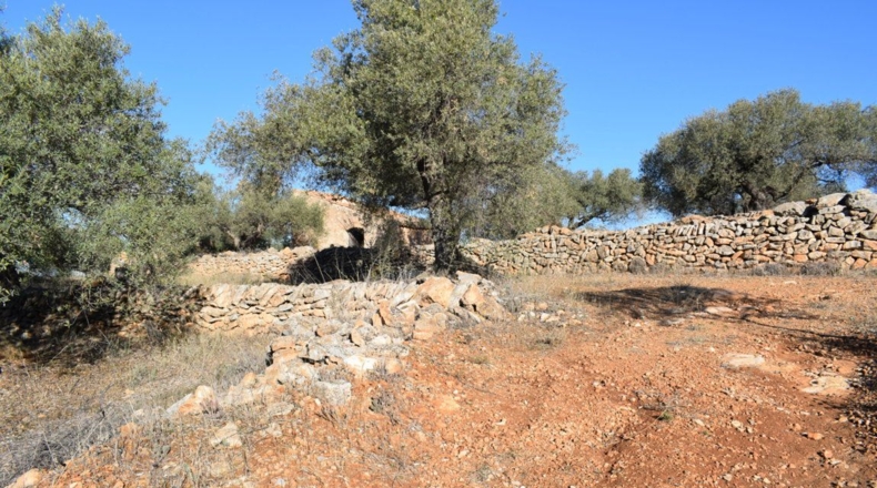 Tarragona - Tortosa - 7921m2