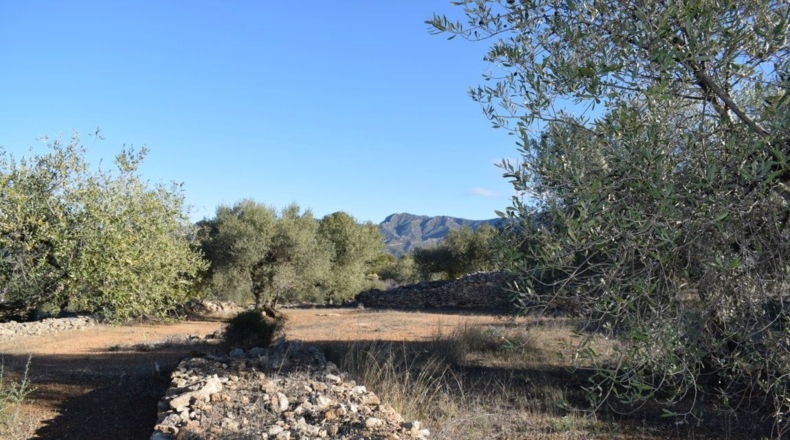 Tarragona - Tortosa - 7921m2