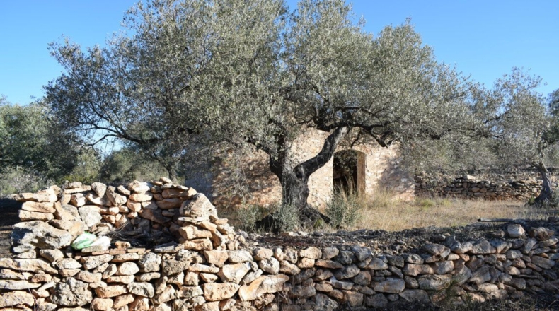 Tarragona - Tortosa - 7921m2
