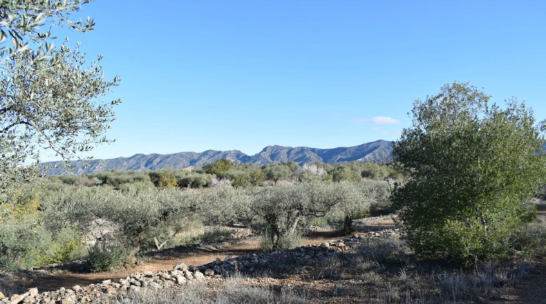 Tarragona - Tortosa - 7921m2