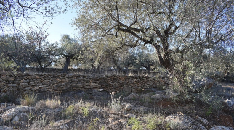 Tarragona - Tortosa - 7921m2