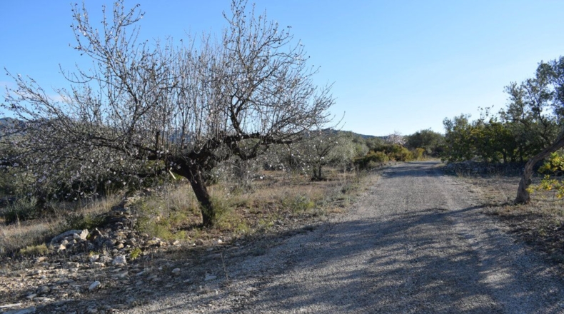 Tarragona - Tortosa - 7921m2