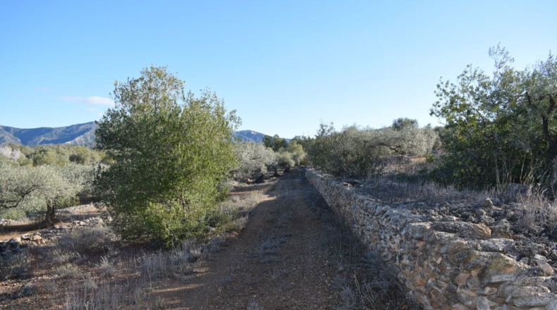 Tarragona - Tortosa - 7921m2