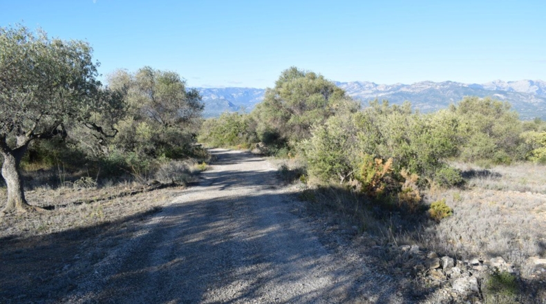 Tarragona - Tortosa - 7921m2