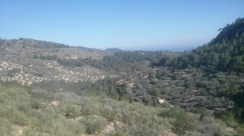 Tarragona - Tortosa - 41348m2