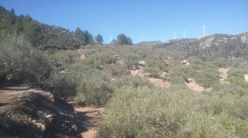 Tarragona - Tortosa - 41348m2