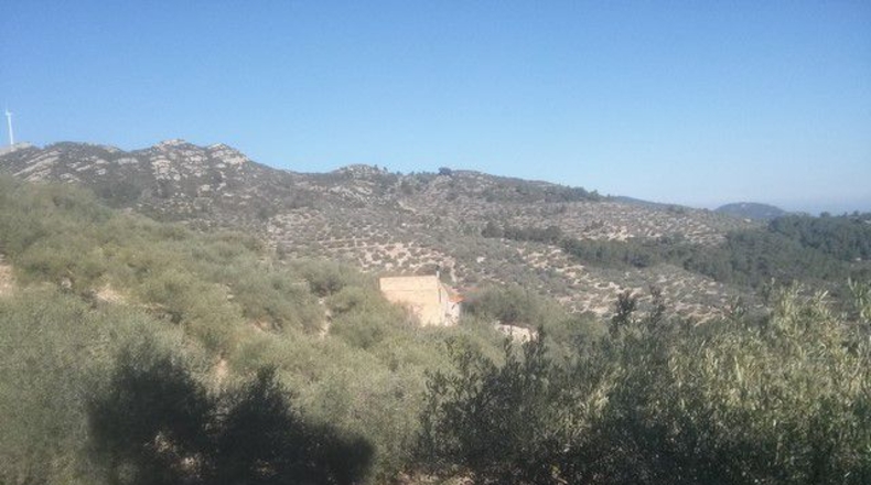 Tarragona - Tortosa - 41348m2